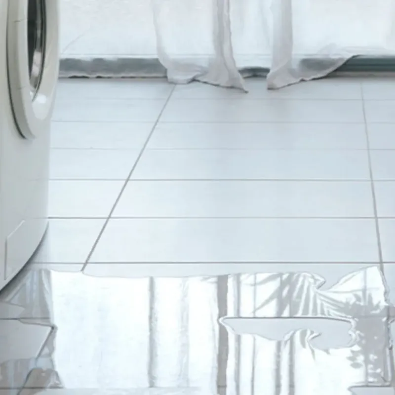 Appliance Leak Cleanup in Ringgold, GA